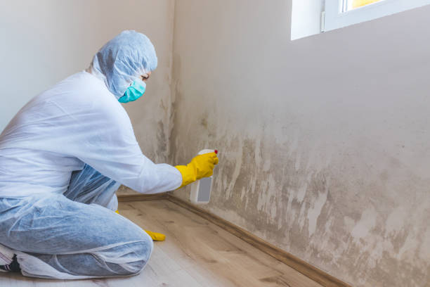 Licensed Crawl Space Mold Removal service in Middleburg, FL - WQB Mold Removal