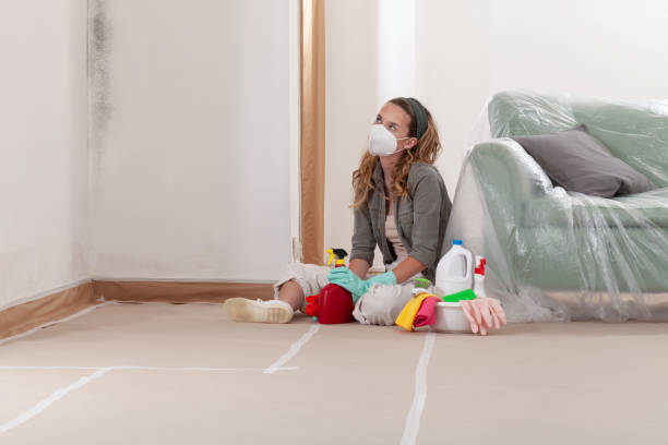 Reliable Crawl Space Mold Removal contractor in Middleburg, FL by WQB Mold Removal